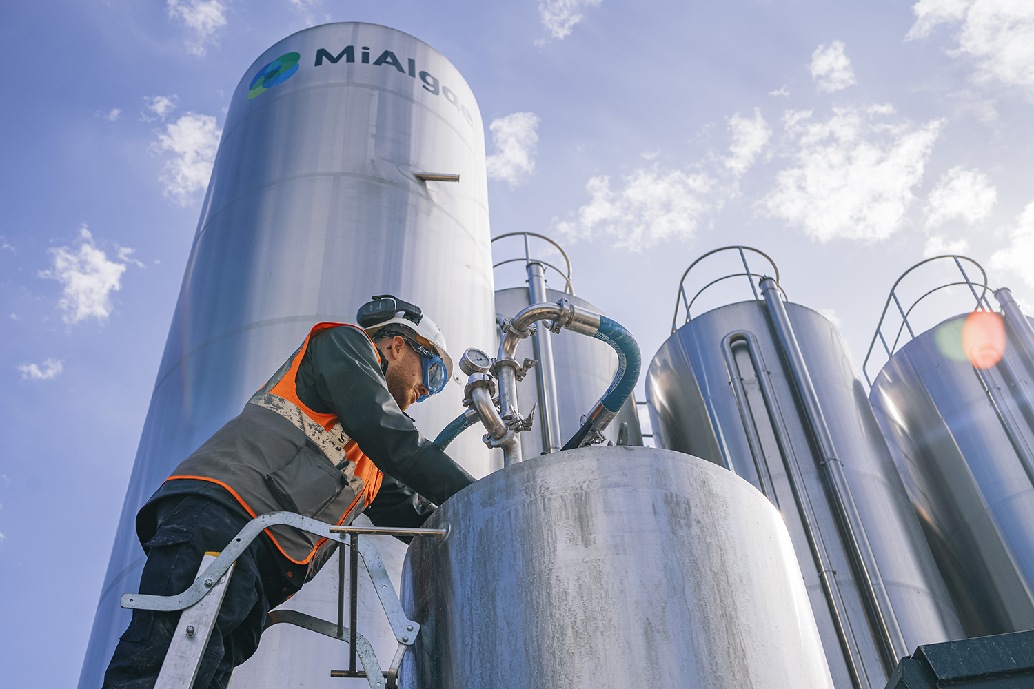 alternative feed ingredients