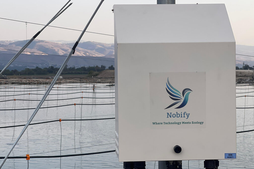 Article image for ‘Balancing the conflict’: How Nobify’s AI-powered bird deterrent tech can protect fish farms