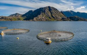 Salmon farm