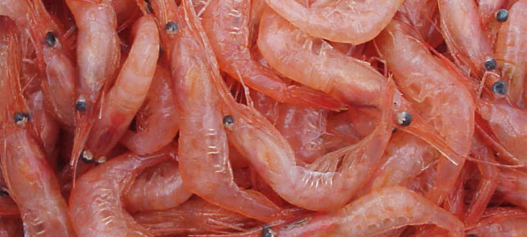 broadband hydroacoustics