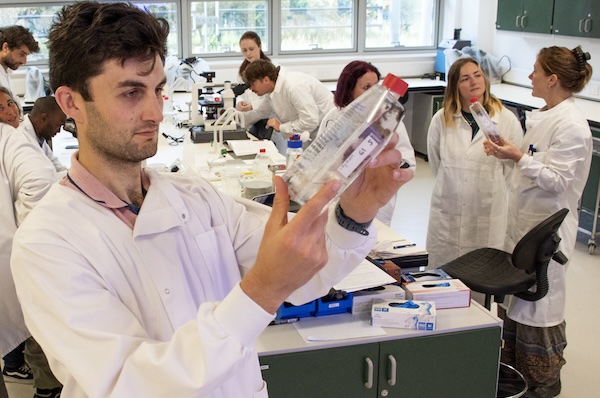 Article image for First seaweed nursery course launched to boost UK seaweed farming industry