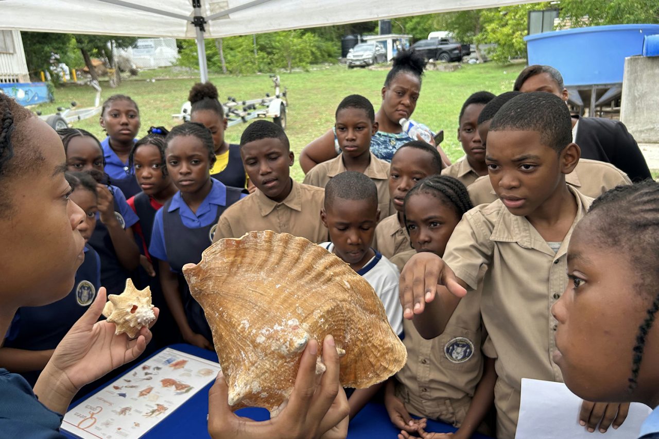 Responsible Seafood Innovation Award finalist: How FAU’s mobile ...