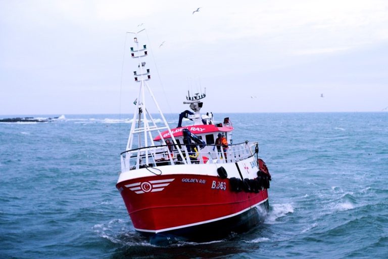 Article image for Responsible Seafood Innovation Awards finalist: The on-board innovation set to improve animal welfare – and life on deck – for the U.K. scampi industry