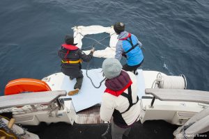 fish aggregating device