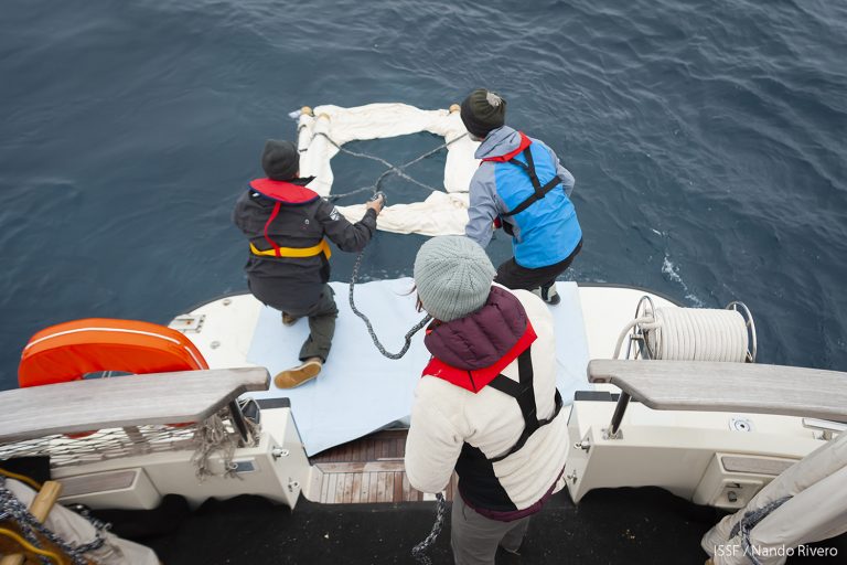 Article image for Responsible Seafood Innovation Awards finalist: How the jellyfish inspired ISSF to design a net-free fish aggregating device