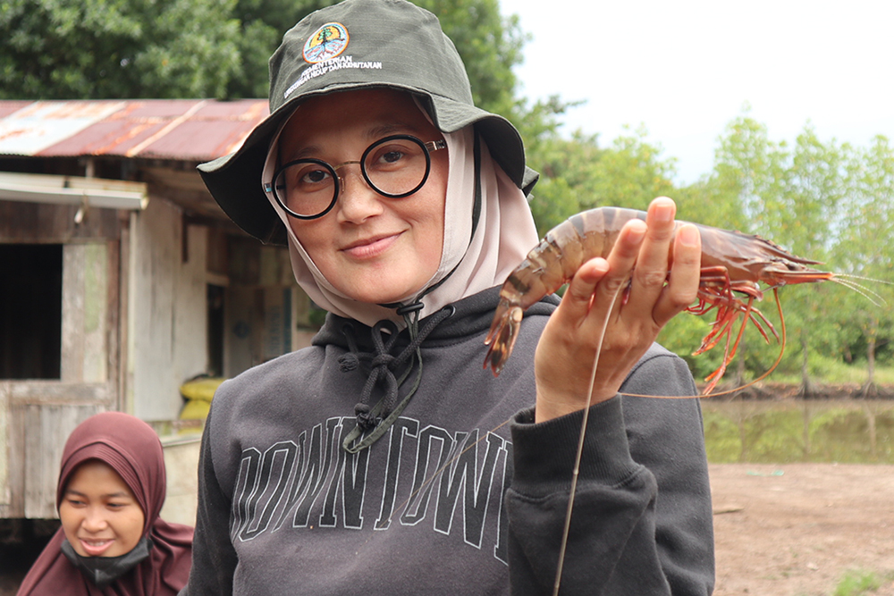 Article image for ‘We found a way to address these challenges’: How shrimp producers are redesigning farms to support mangrove restoration and coastal resilience