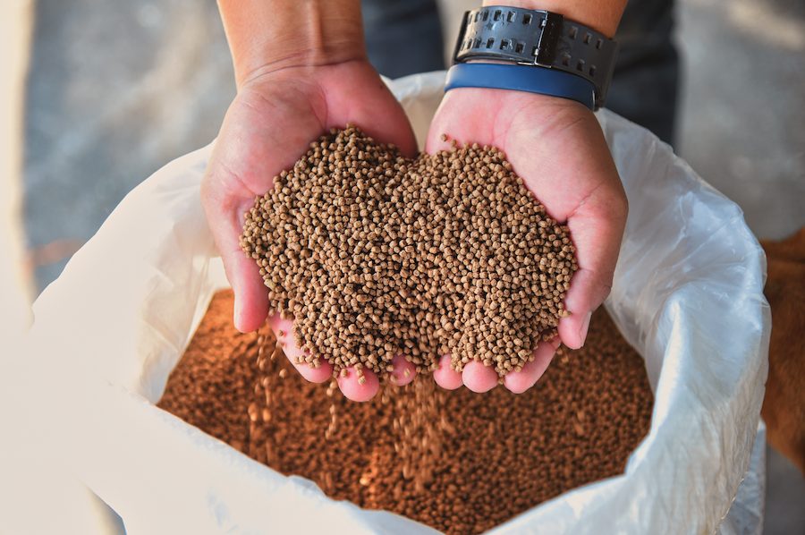 Article image for GSA Releases Feed Mill Standard Issue 3.3