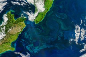 ‘Who will win and who will lose?’ How climate change is shifting the ocean food chain – and potentially global fisheries