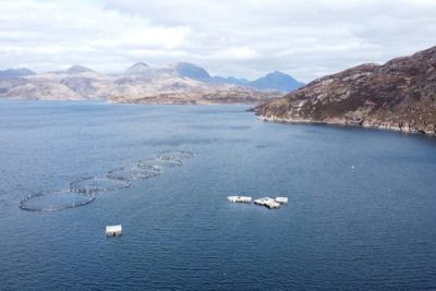 Rabobank: Seafood industry faces ‘prolonged instability' as tariffs