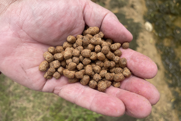 Article image for Ongoing shifts from fishmeal and fish oil in aquafeeds require careful attention to habitat impact trade-offs