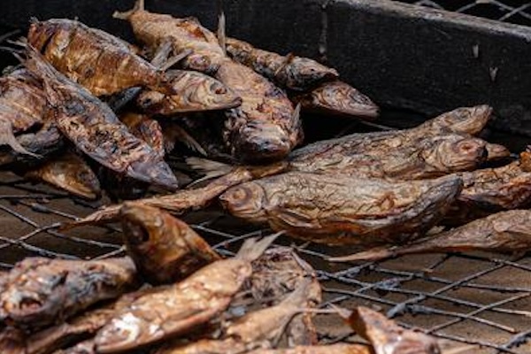 Article image for Study reveals dried fish’s vital role in nutrition and food security across Africa
