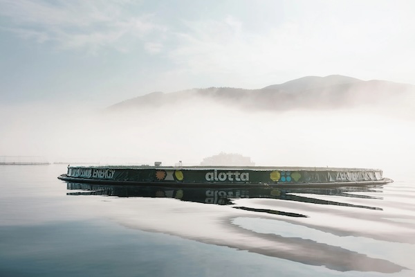 Article image for ‘Landmark’ energy deal introduces floating solar panels to Chile’s salmon farms