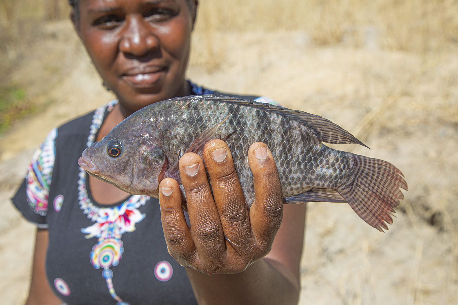 Closing the gender gap: How new initiatives are transforming traditional roles in fisheries and aquaculture – Global Seafood Alliance