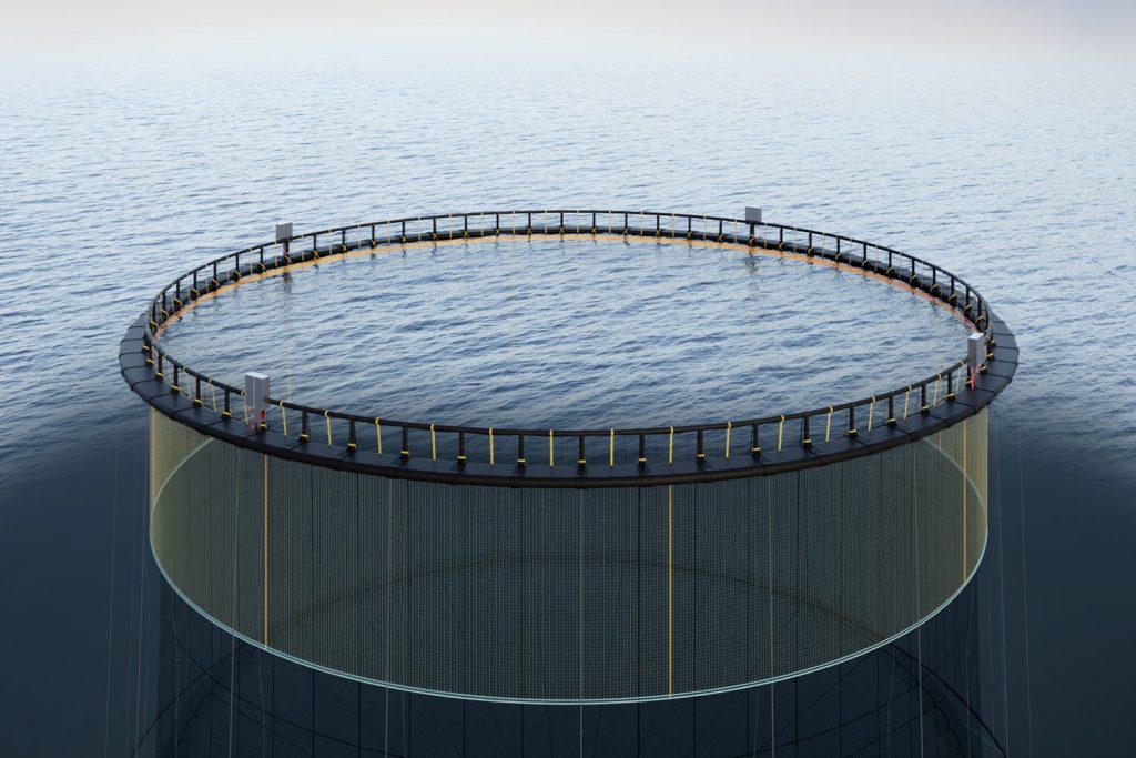 Article image for A shocking innovation: Electric fences show promise in sea lice prevention