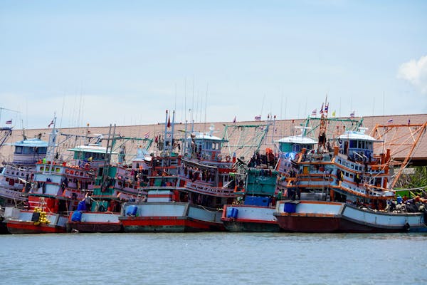 Article image for Five-year initiative aims to strengthen fisheries management in the Gulf of Thailand