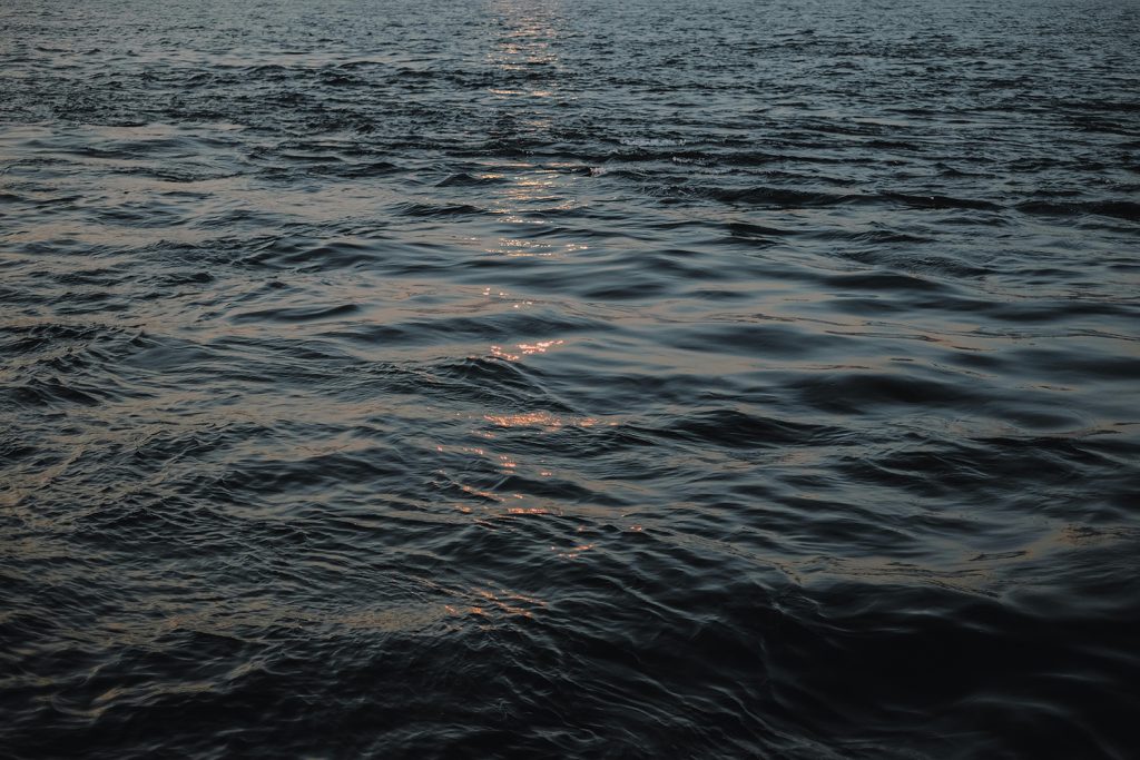 Article image for The ocean is getting darker. What could that mean for global fisheries?