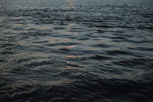 The ocean is getting darker. What could that mean for global fisheries?