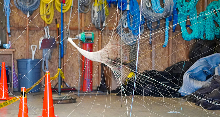 Image for article: ‘Catching salmon is our worst nightmare’: Alaska’s pollock industry’s bycatch solutions are driven by technology – and emotions