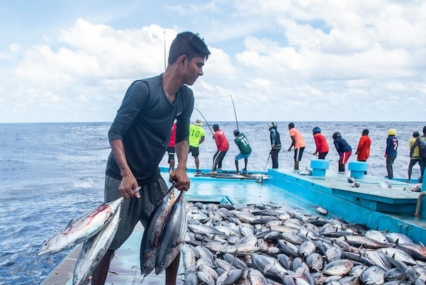 Article image for BBNJ treaty enters into force, strengthening governance of the high seas