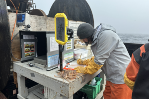 Warming and crowding starved Bering Sea snow crabs, hindering recovery amid climate change
