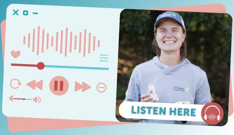 Image for article: The Nature Conservancy: Volunteer-Powered Oyster Restoration with Kelsey Meyer-Rust