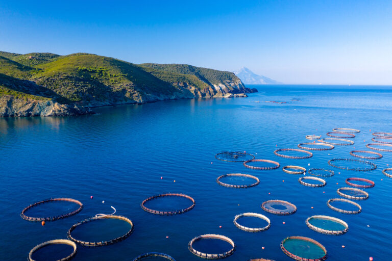Featured image for Responsible Aquaculture is No Myth