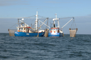 Would shifting to more terrestrial protein production accelerate biodiversity loss? Recent study says yes