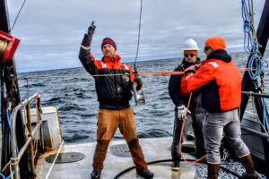 New seaweed farming economics: Insights tool may help pave the way to larger-scale and lower-cost production