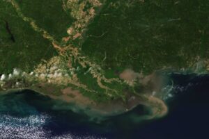 Severe U.S. drought linked to major Gulf fisheries decline decades ago, study finds