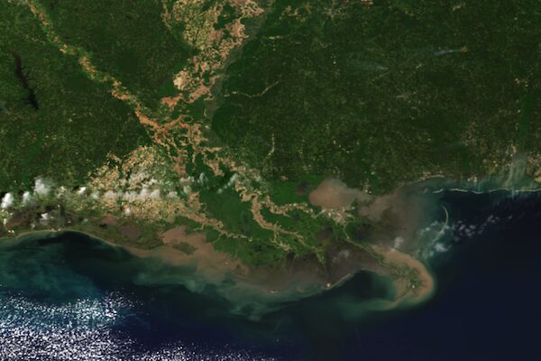 Article image for Severe U.S. drought linked to major Gulf fisheries decline decades ago, study finds