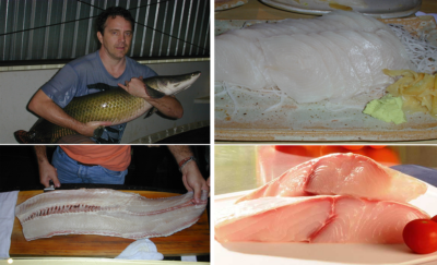 Aquaculture potential and challenges for arapaima, the Amazon giant ...