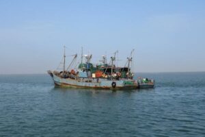 Report spotlights emerging technologies to improve animal welfare in capture fisheries