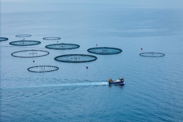 aquaculture technology