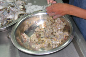 ¿Se desecha la parte más valiosa del camarón? Cómo los subproductos de mariscos generan nuevas fuentes de ingresos.