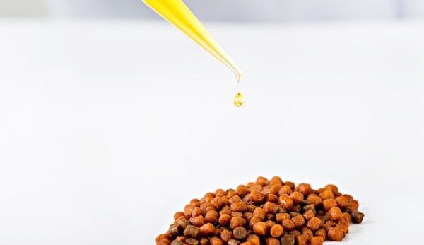 omega-3