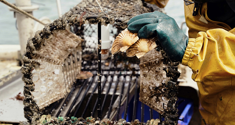 Image for article: Illuminating the way: How light technology is reshaping fisheries