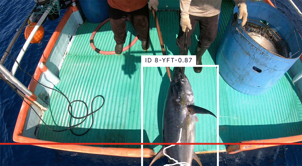 electronic monitoring