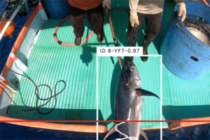 TNC-backed Edge AI seeks to streamline electronic monitoring in the ongoing effort to fight IUU fishing