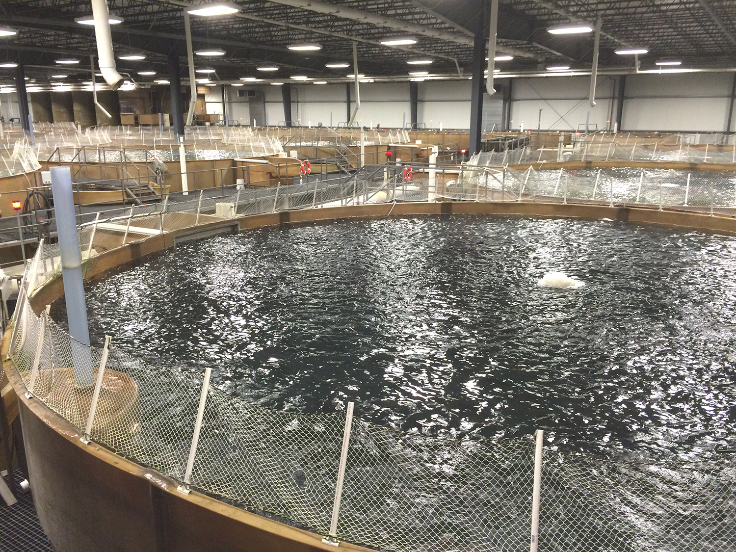 precision aquaculture