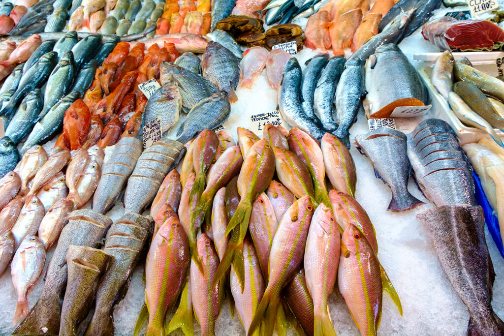 Article image for As ocean technology advances, fisheries face a new challenge: scaling it