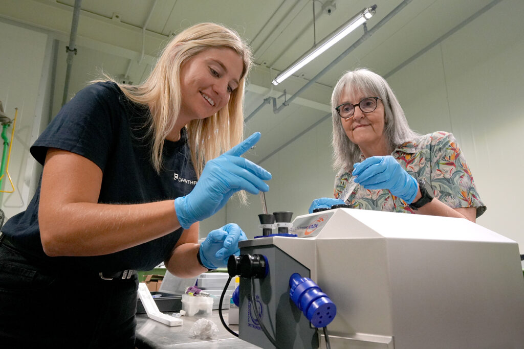 Article image for Inside the science: How mitochondria could boost New Zealand fish farms’ climate resilience