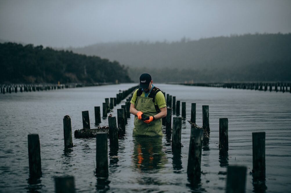 Article image for BAP Spotlight Story: Yumbah Aquaculture