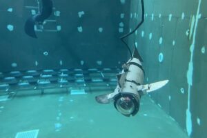 Can this ‘bio-inspired’ robotic fish improve aquaculture monitoring and animal welfare?