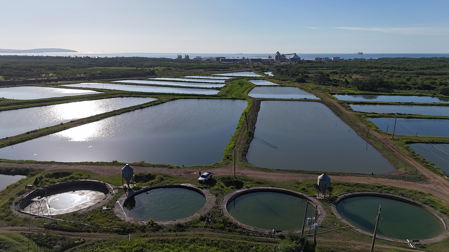 Caribbean aquaculture