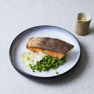 Hiddenfjord salmon