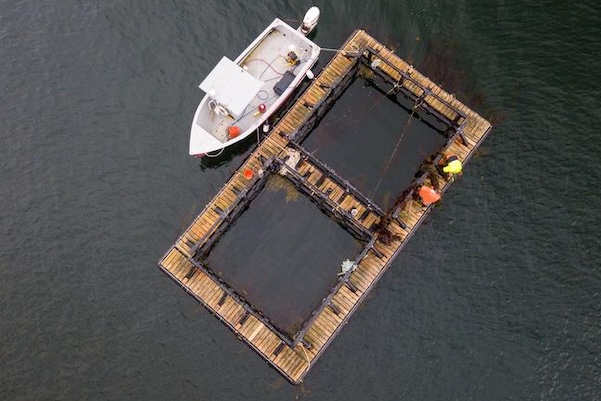 aquaculture