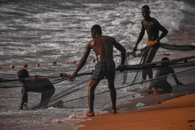 Article image for Aquaculture now supplies most of the fish people eat, but climate change and overfishing remain threats to the seafood industry