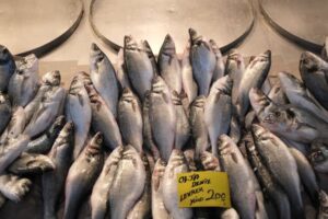 A decade after anti-IUU fishing pact, Mediterranean and Black Sea overfishing drops