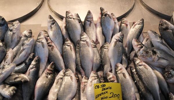 IUU fishing