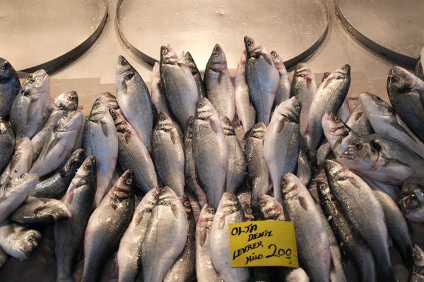 IUU fishing